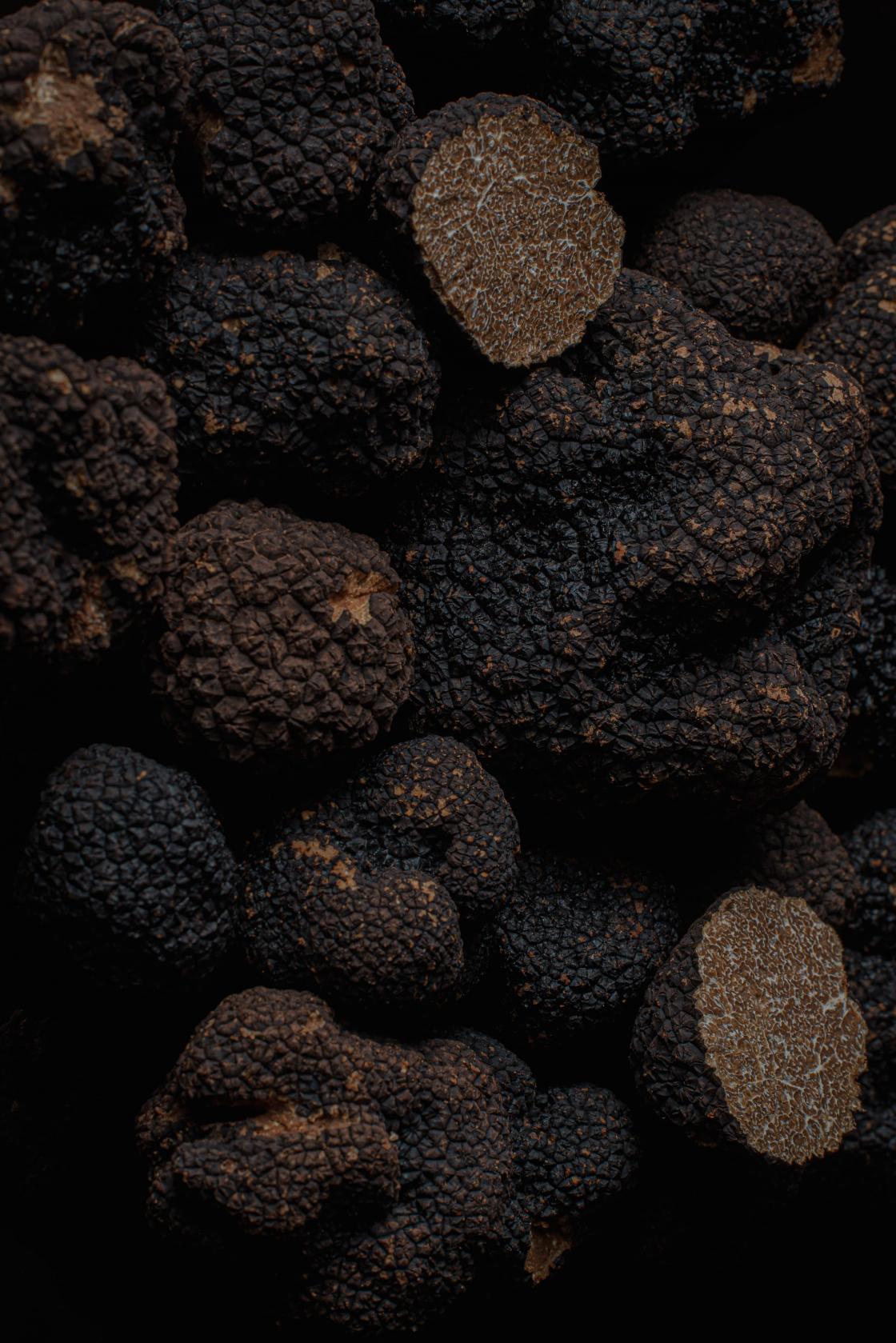 THE SIGNATURE OF AUTUMN