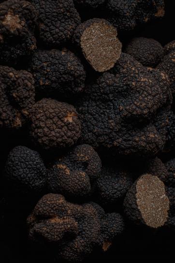 THE SIGNATURE OF AUTUMN