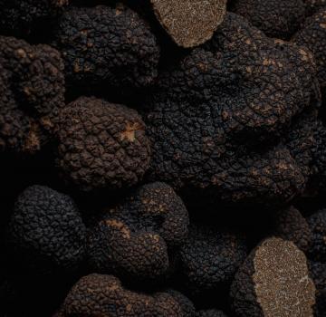 LA SIGNATURE DE L'AUTOMNE